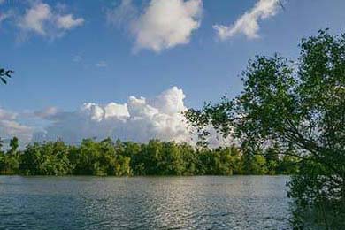 TES战队新阵容首次亮相，团队配合初显成效，tes战队官方产品