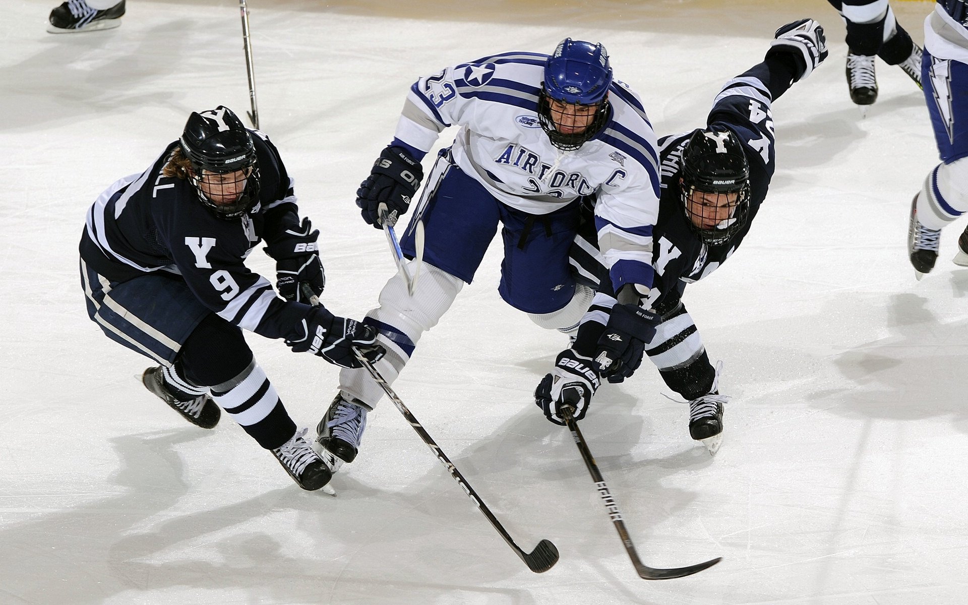 _自由训练：创新方法让运动员更快提高_，自由训练有什么动作